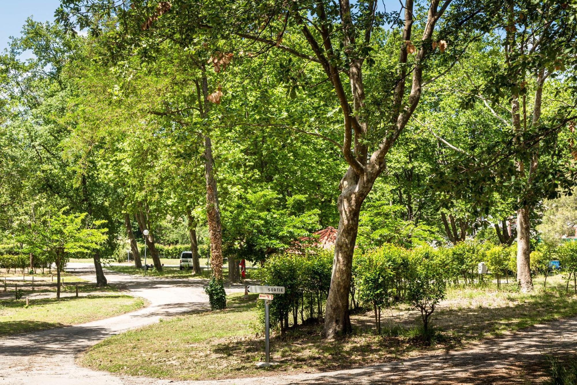 Camping Les Rives Du Lac De Vinca מראה חיצוני תמונה